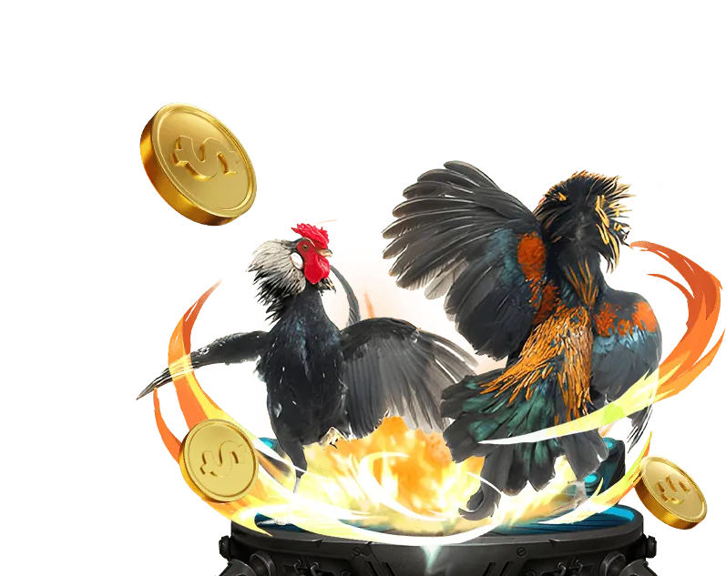 Sân đấu đá gà trực tuyến tại b52play Casino